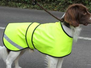 Hi Viz Safety Dog Coat