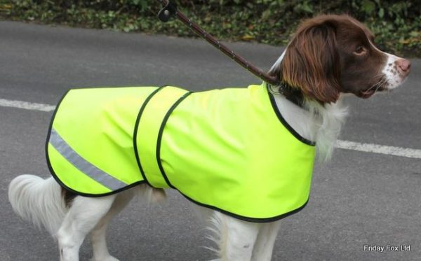 Hi Viz Safety Dog Coat - Image 1