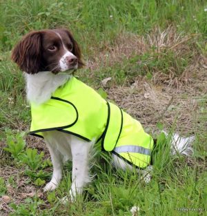 Hi Viz Safety Dog Coat - Image 3