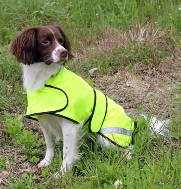 Hi Viz Safety Dog Coat - Image 3