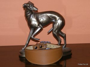 Padded Leather Italian Greyhound Collars
