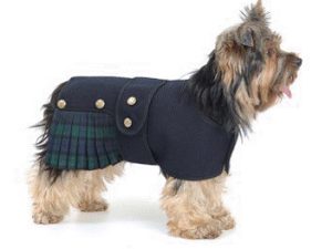 Kilt Coat