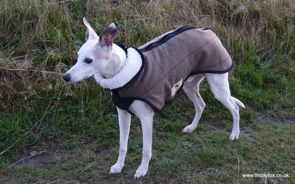 Whippet Tweed Step-in coat with Fleece Lining - Brown or Grey - Image 2