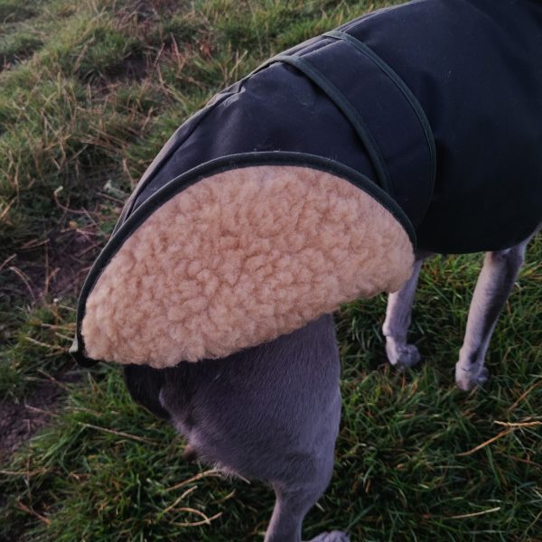 Wax Cotton Greyhound & Lurcher Coat - Image 3