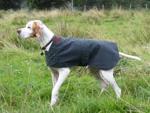 Wax Cotton Coats For Pointer's, Vizsla's and Weimaraner's - Image 4