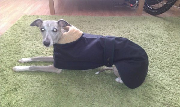 Whippet Wax Cotton Coat - Image 4