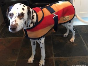 Witney Large Dog Coat