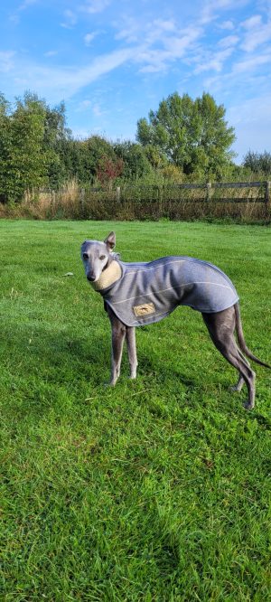 Whippet Tweed Step-in coat with Fleece Lining - Brown or Grey - Image 4