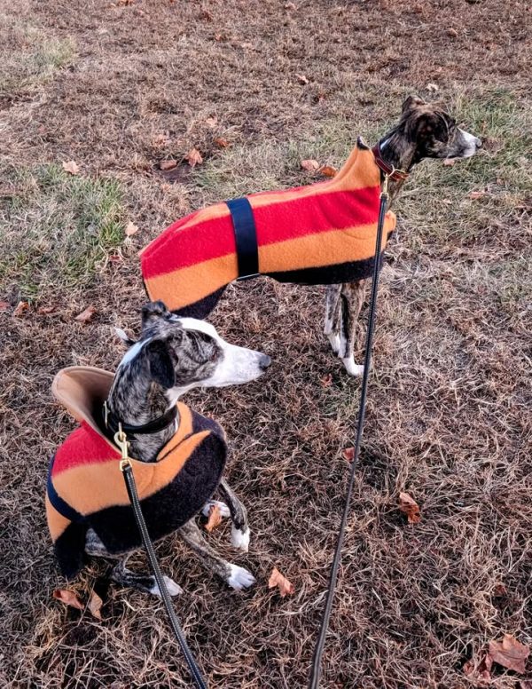 Whippet Witney Wool Coat - Image 2