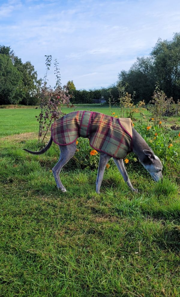 Whippet Tweed Coat - Image 3