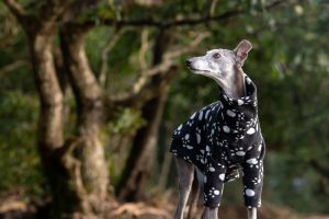 Italian Greyhound "Paw" Fleece Coat - Image 2