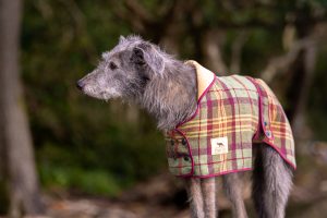 Greyhound Tweed Coat - Image 3