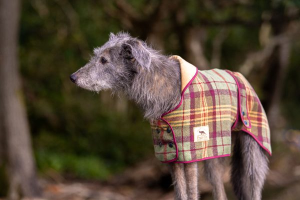 Greyhound Tweed Coat - Image 3