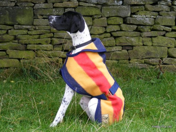 Greyhound/Pointer Witney Wool Coat - Image 2