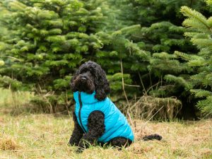 Hugo and Hudson Puffer Jacket Small dog