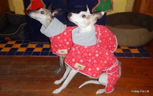 Whippet Festive Polo Fleece