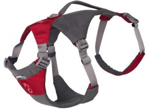 Harness