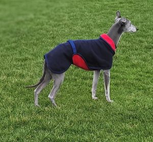 Whippet 'Lambourn' Melton Wool Coat - Image 3
